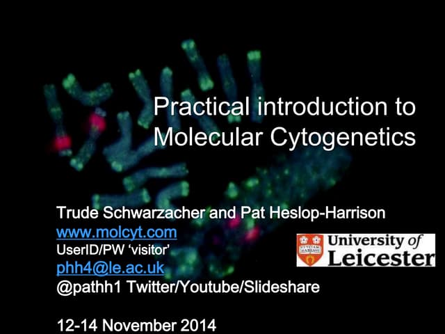 In situ hybridization methods and techniques course slides Pat Heslop-Harrison