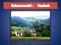 Schwarzwald 2 Haslach