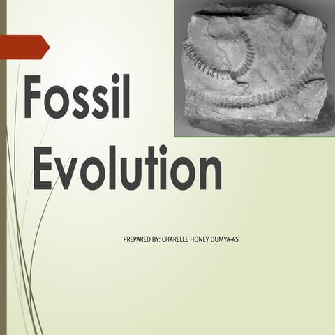 SCIENCE 10-QUARTER 3-MODULE6 Evolution.pptx