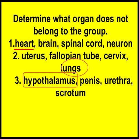 module 3_THE NERVOUS SYSTEM-DAY 1 OF QUARTER 3