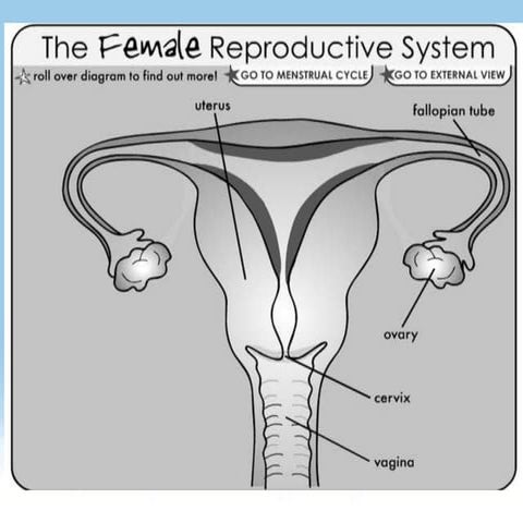 sci 5 ppt q2 day 1-5 (2).pptx