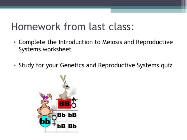Sci 9A Lesson 5 April 7 - Meiosis