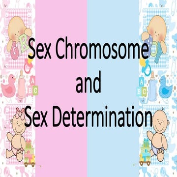 Sci9q1m2 sex chromosome and sex determination