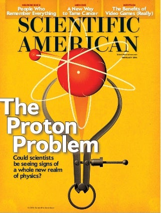 Never Changing Psilocybin Spores Will Eventually Destroy You