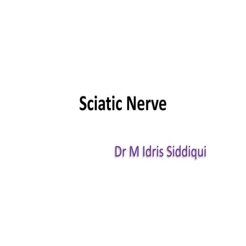 sciaticnerve-180502181117.pdf