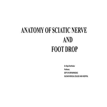 ANATOMY OF SCIATIC NERVE AND FOOT DROP