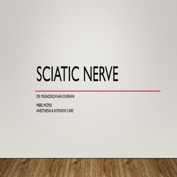 Sciatic Nerve PDF