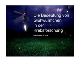 #scichallenge2017 Die Bedeutung von Glühwürmchen in der Krebsforschung