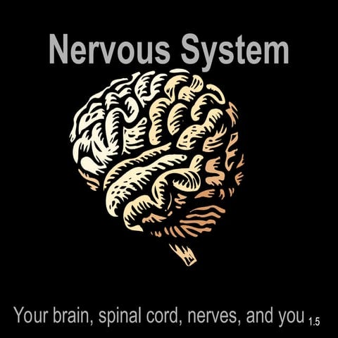 Science 10 science ____quarter 3 wk3.ppt