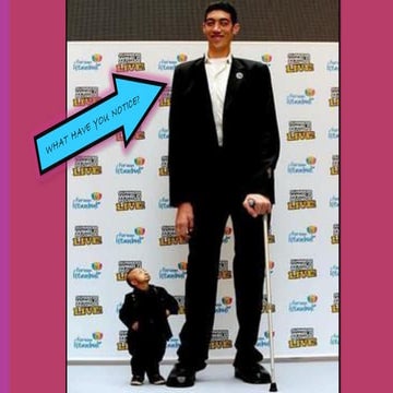 SCIE endocrine+system.pdf