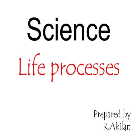 Life Process