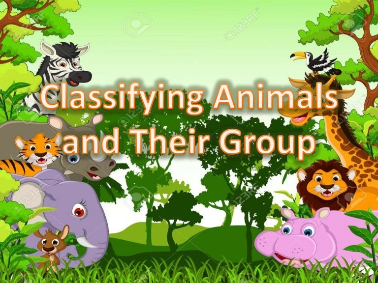 Classifying Animals and their Group