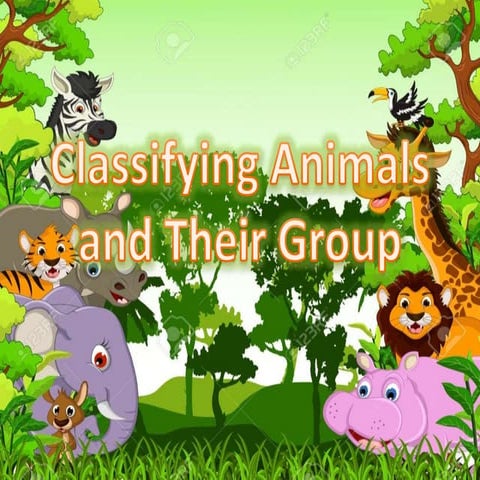 Classifying Animals and their Group