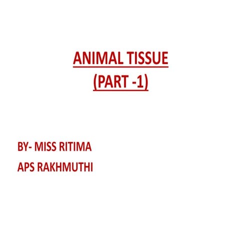 ANIMAL TISSUE | PPTX