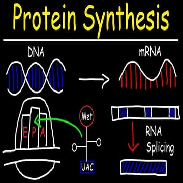 science Protein Synthesis Quarter 3 Grade 10.pptx