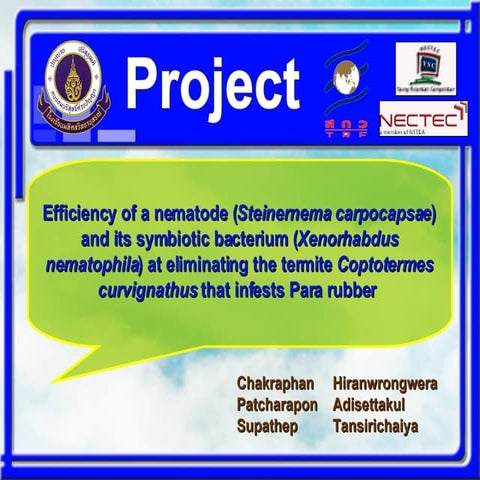 Science Project | PPT