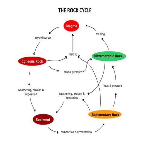 Science Review Semester Final