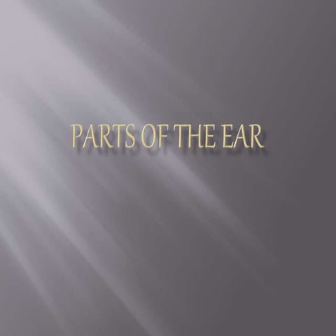 Science 3  parts of the ear