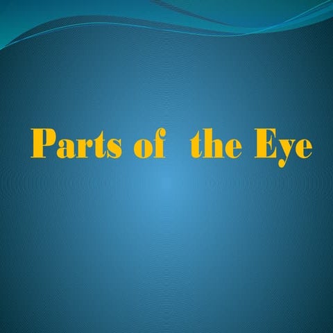 science3-partsoftheeye-141017053142-conversion-gate02.pptx