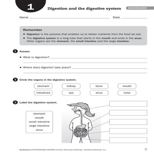 FICHAS INTELIGENCIA 4º  