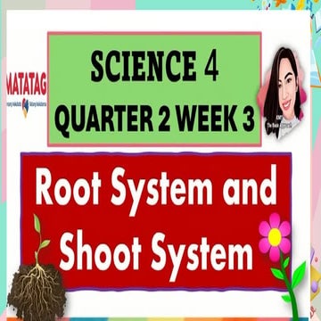 Root and Shoot System - science 4 - quarter 2 - week 3 | PPTX