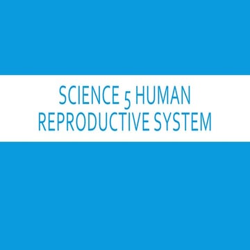 SCIENCE 5 Human Reproductive System.pptx