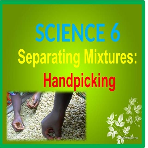 Separating Mixtures Handpicking | PPTX