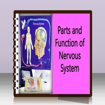 Science 6_Q2_L5_Parts and Function of Nervous System.pptx | Free Download