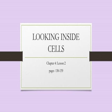 Biology M1 Cell Structure and Function | PPT