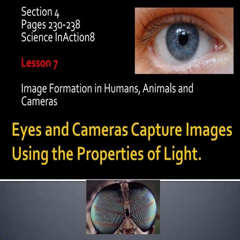 Science8 Unit C Lightand Optics Section4 Lesson7 Image Formationin Eyesand Cameras