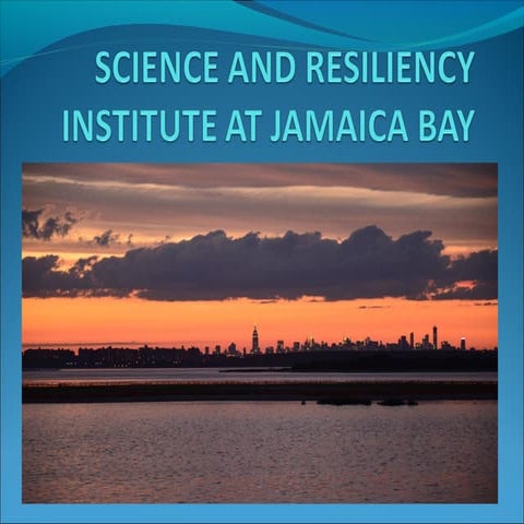 Science and resiliency institute at jamaica bay stakeholder report