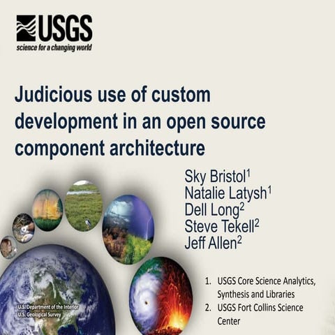Judicious use of custom development in an open source component architecture