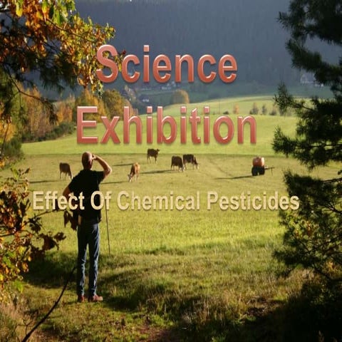 Pesticides