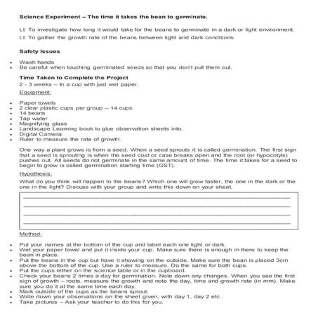Science experiment   germination process