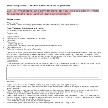 Science experiment   germination process