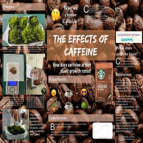 science fair .pdf