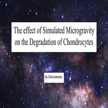 Chondrocytes in Microgravity