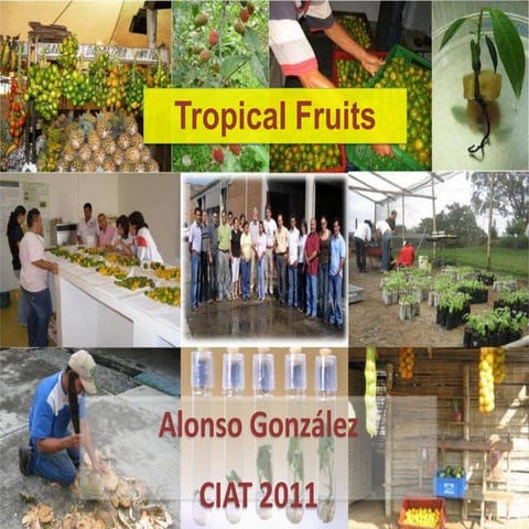 Science Forum Day 3 - Alonso Gonzalez - Tropical fruits, coconuts and livelih...
