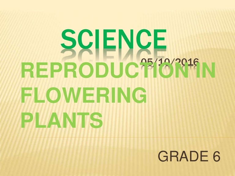 Science notes grade 6