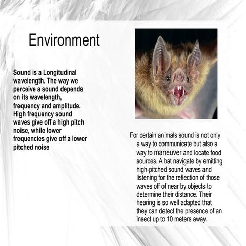 Wave Lengths, Intro to Science