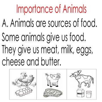 Science Importance of animals.pptximportance of animals