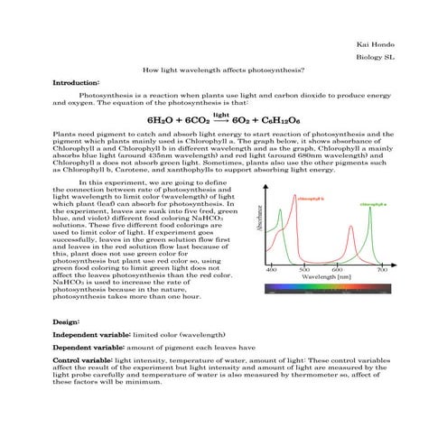 Science light colour photosynthesis