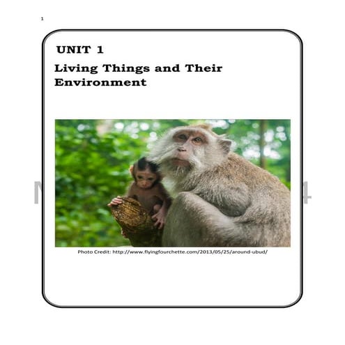 Science module | PDF