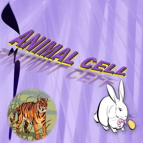 Science p.p.t .ANIMAL CELL's