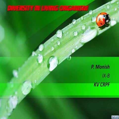 Diversity in Living Organism