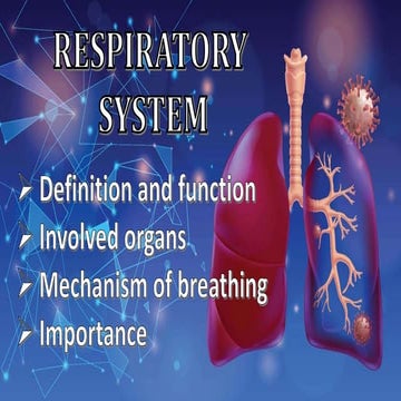 Respiratory System Grade 9 Science.pptx