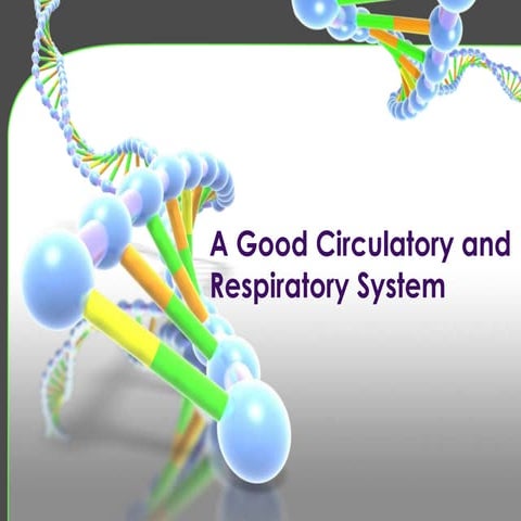 A Good Circulatory And Respiratory System | PPTX