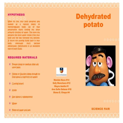 Copy%20of%20My%20Science%20Fair%20Project.pdf.pdf
