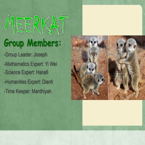 2n2-meerkats-ppt
