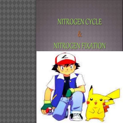 Nitrogen Cycle Nitrogen Fixation Pptx